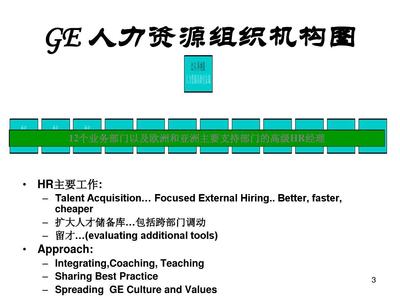 通用電氣公司（GE）的人力資源管理組織體系與人力資源服務探析
